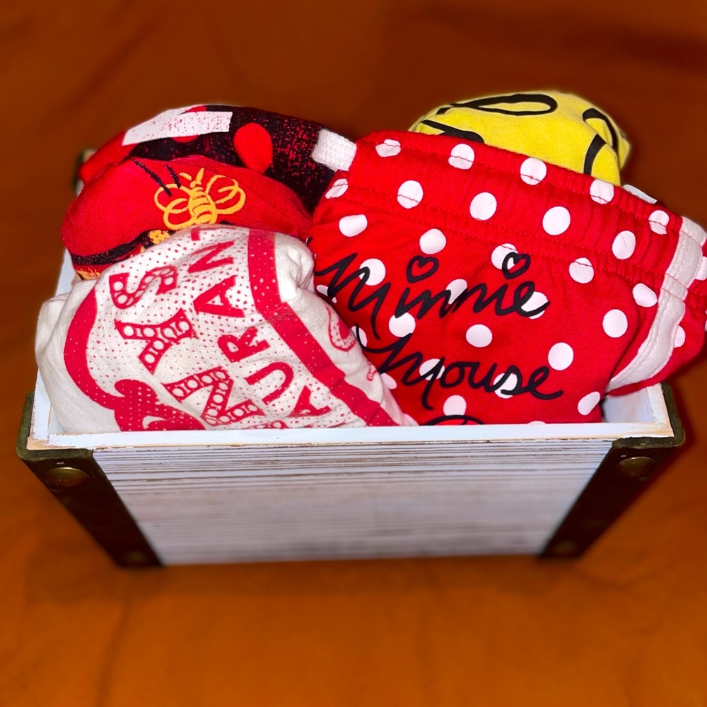 disney women’s clothing box (bundle)